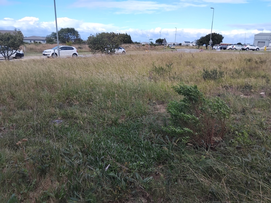 0 Bedroom Property for Sale in Noorsekloof Eastern Cape
